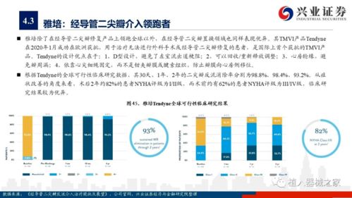 深度 心脏瓣膜产品研发与市场研究报告